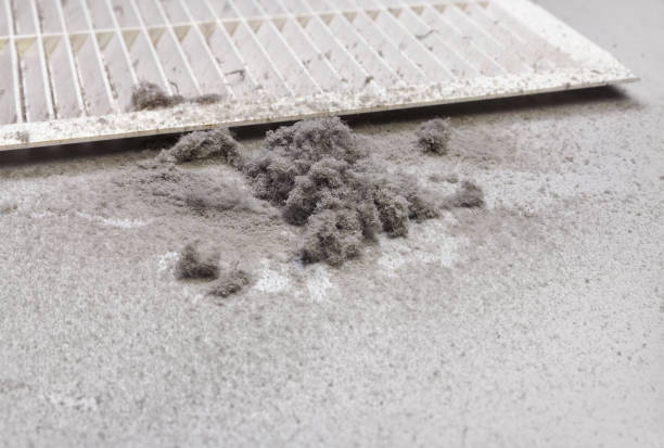 Best Local Air Duct Cleaning Services  in Belle Chasse, LA