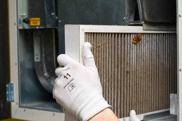 Best Emergency Air Duct Cleaning  in Belle Chasse, LA