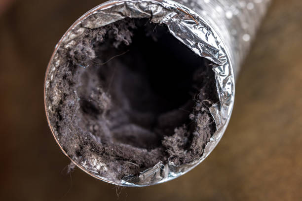 Best Best Air Duct Cleaning Company  in Belle Chasse, LA