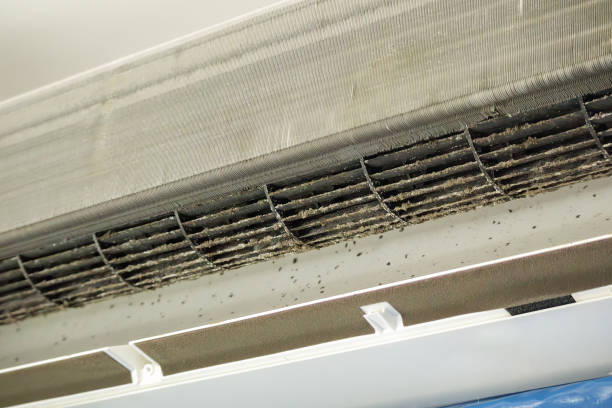 Best Dryer Vent Cleaning Services  in Belle Chasse, LA